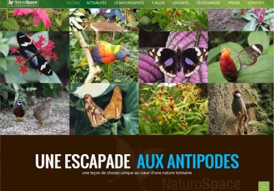 Refonte du site de la serre tropicale d'Honfleur. Le NaturoSpace est une serre à papillons tropicaux avec également des oiseaux et des poissons.