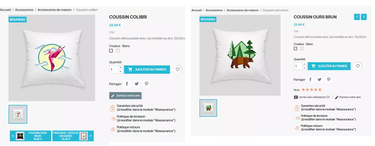 exemple d'affichage du module produit précédent et suivant